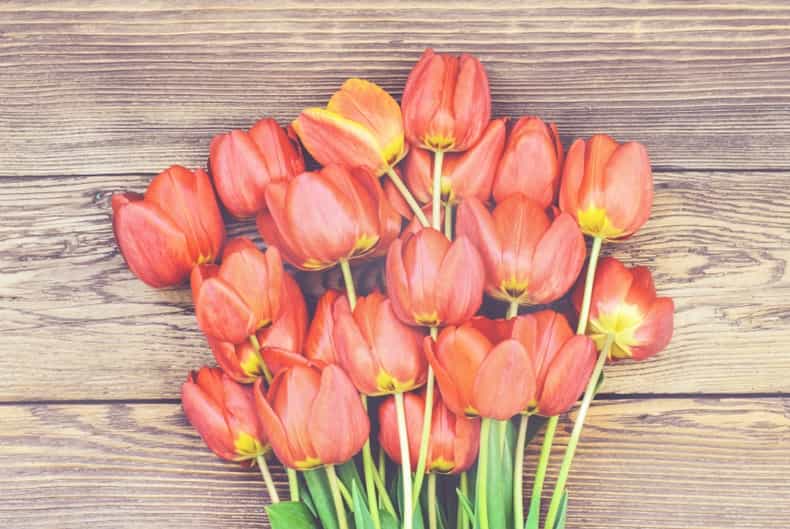 Books of condolence open today in memory of those killed in Carrickmines tragedy