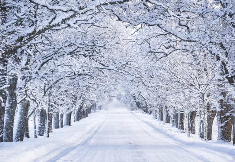 Sneachta! Ireland is a wonderland (and there’s more snow on the way) Sneachta! Ireland is a wonderland (and there’s more snow on the way)