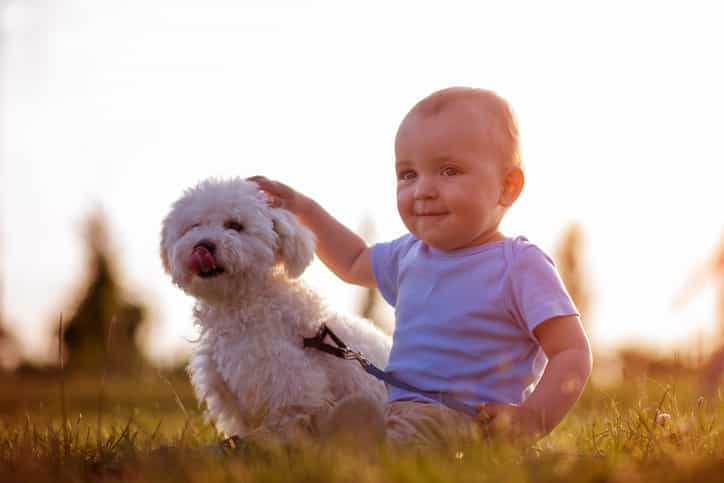 Having a pet at home could protect kids from certain conditions