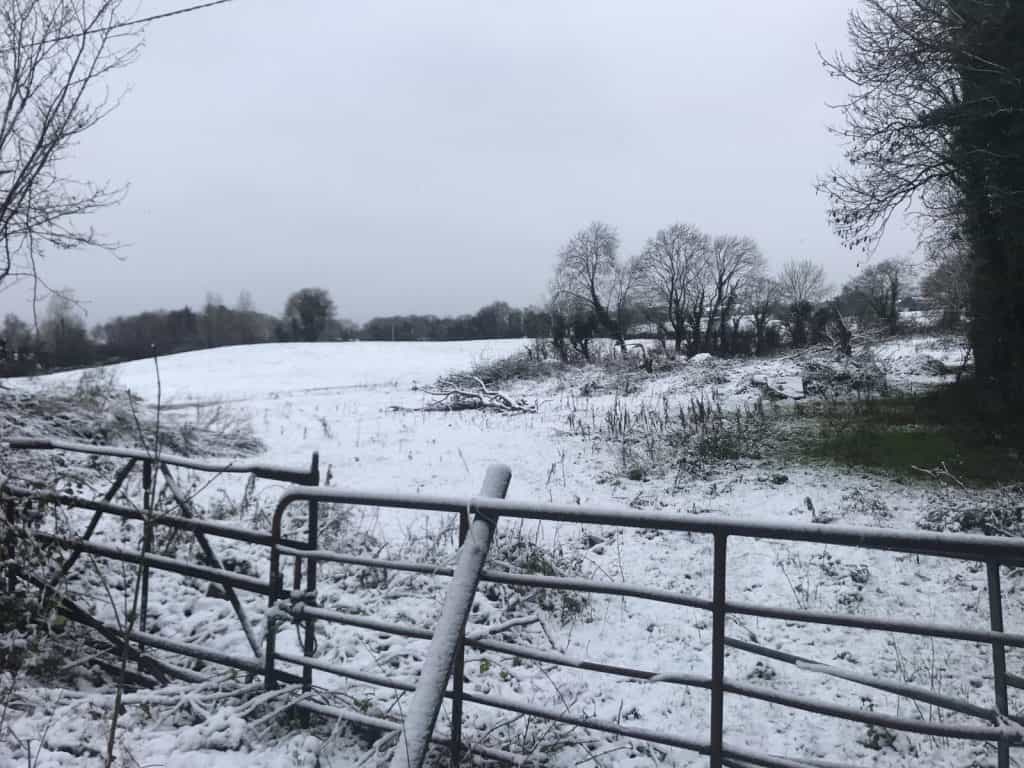 #Sneachta! People are going stone mad for the snow this weekend