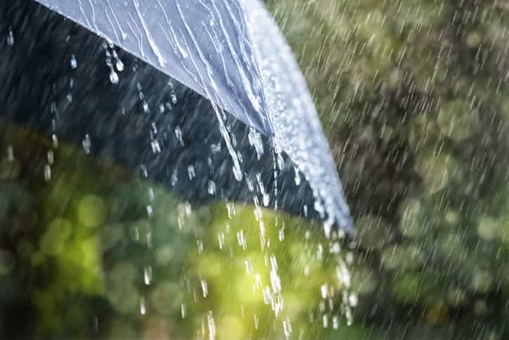 Enjoying the heatwave? Met Eireann says we should expect rain on this day