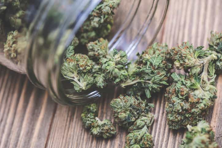 Cannabis can stay in breast milk for almost a week after ingestion, finds study