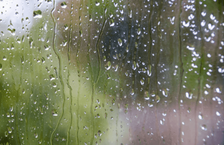 The weather forecast for today is looking as bleak as ever The weather forecast for today is looking as bleak as ever