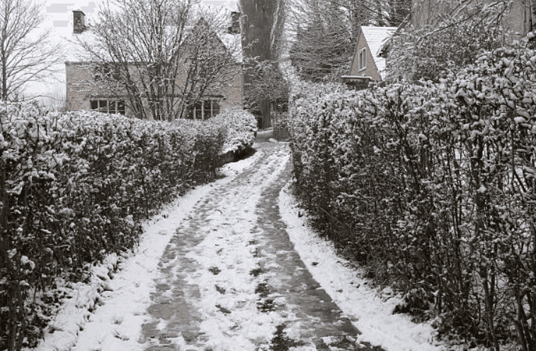 Animal welfare issue warning in Ireland after puppy dies from freezing weather Animal welfare issue warning in Ireland after puppy dies from freezing weather