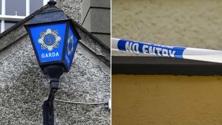 Gardaí investigating alleged assault on teenage girl in Dublin Gardaí investigating alleged assault on teenage girl in Dublin