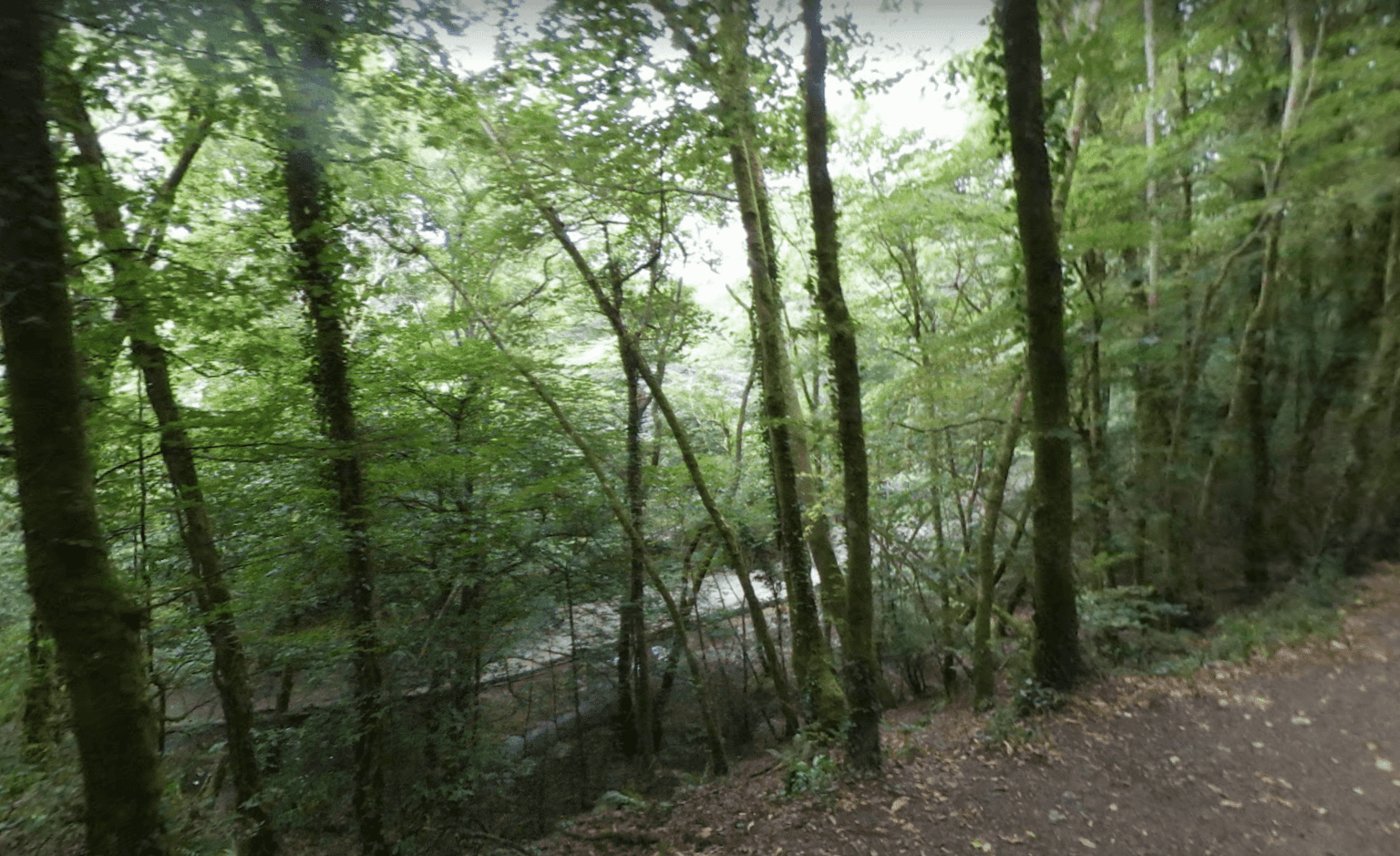Warning for parents after nine children fall ill swimming in river