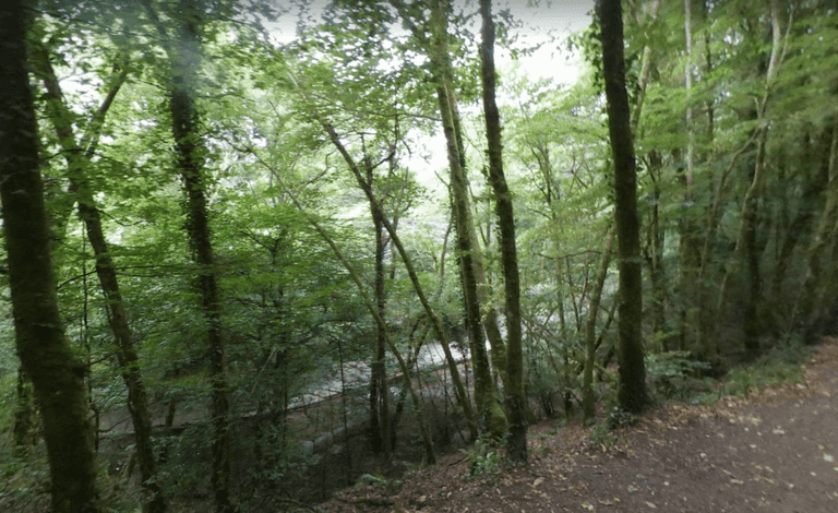 Warning for parents after nine children fall ill swimming in river Warning for parents after nine children fall ill swimming in river