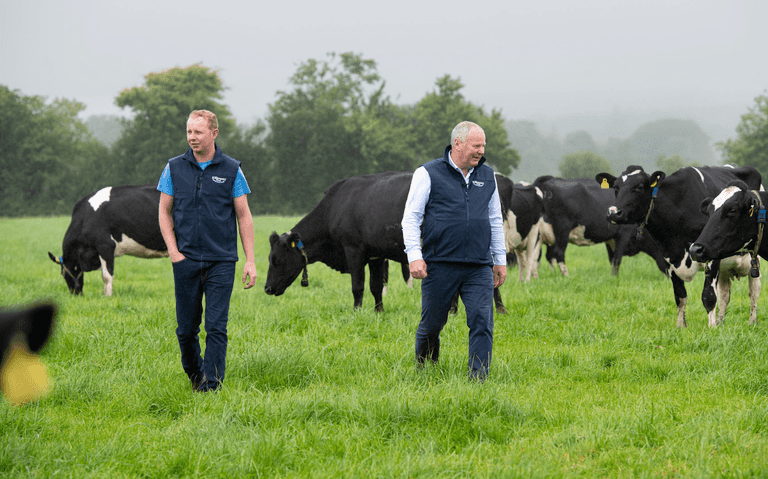 How this beloved Irish yogurt producer turns their products around in a single day