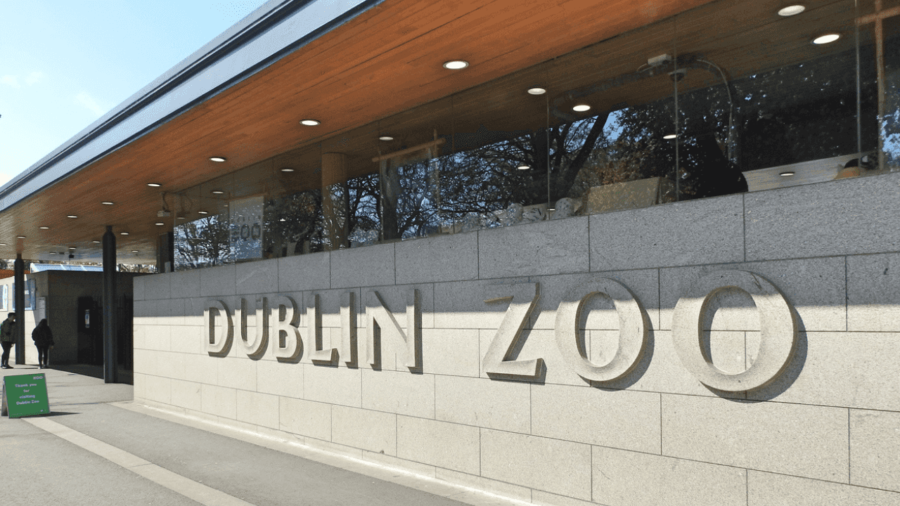 Dublin Zoo is offering half-price tickets to visitors this autumn