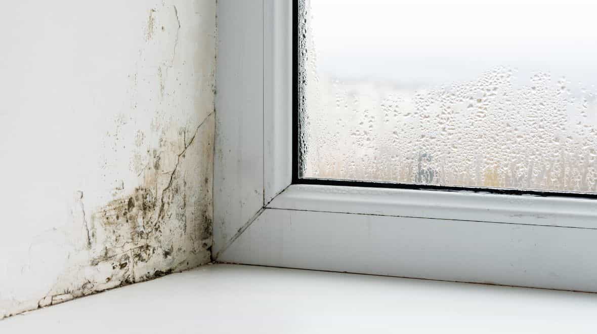 ‘Amazing’ mini dehumidifier keeps damp away during winter – and it’s just €1