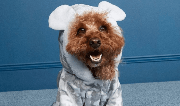 You need to see Penneys’ adorable new dog jammies that are only €8 You need to see Penneys’ adorable new dog jammies that are only €8