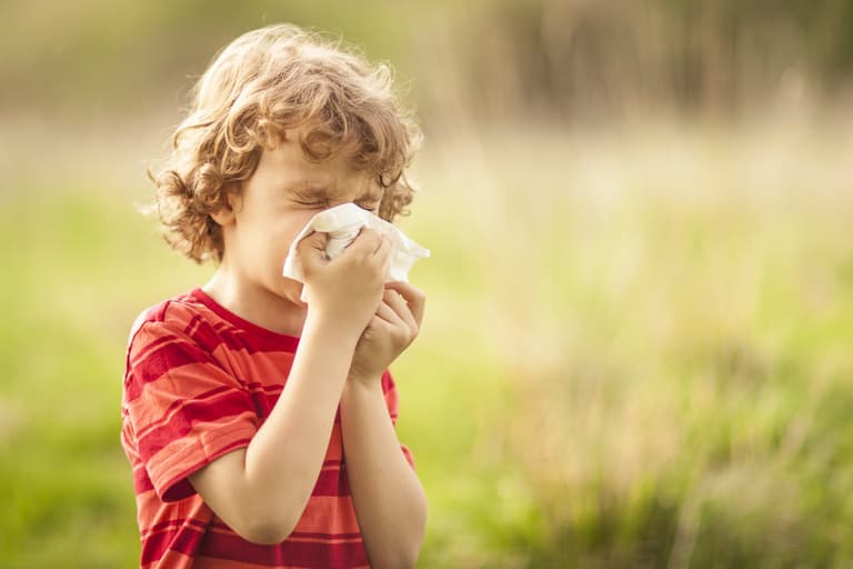 Expert shares hack to trap pollen for hay fever sufferers Expert shares hack to trap pollen for hay fever sufferers