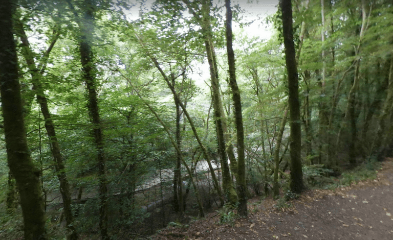 Warning for parents after nine children fall ill swimming in river Warning for parents after nine children fall ill swimming in river