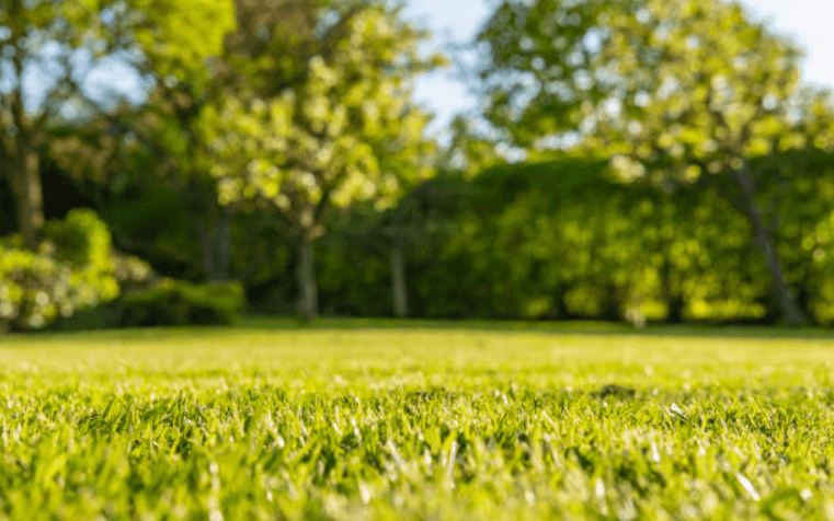 The weather forecast is looking good today with temps reaching 17 degrees The weather forecast is looking good today with temps reaching 17 degrees