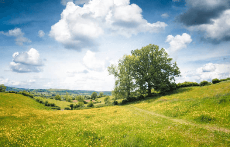Met Éireann predict what the weather will be like for the Bank Holiday Met Éireann predict what the weather will be like for the Bank Holiday