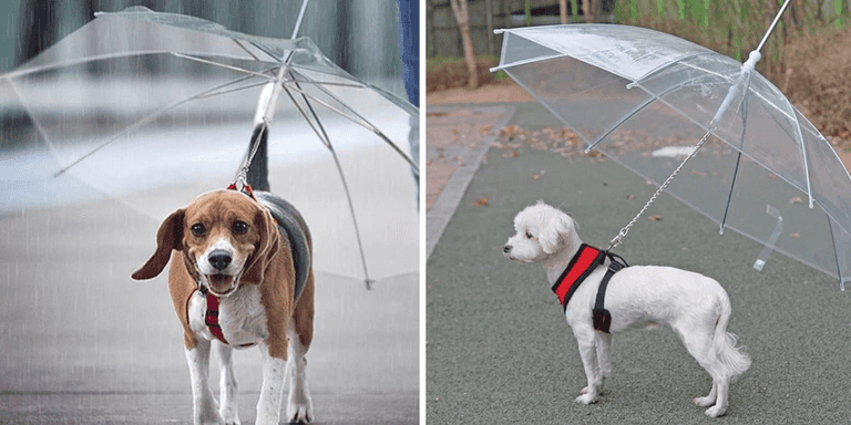 Dog owners are going crazy for this Dublin man’s pet umbrellas Dog owners are going crazy for this Dublin man’s pet umbrellas